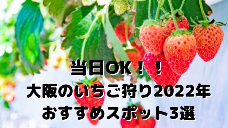 当日ok大阪のいちご狩り22年おすすめスポット3選 Ant Com